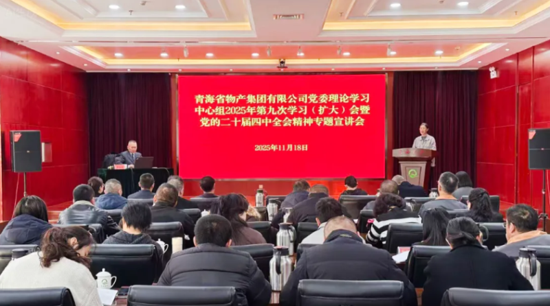 集團(tuán)黨委召開黨的二十屆四中全會精神宣講會