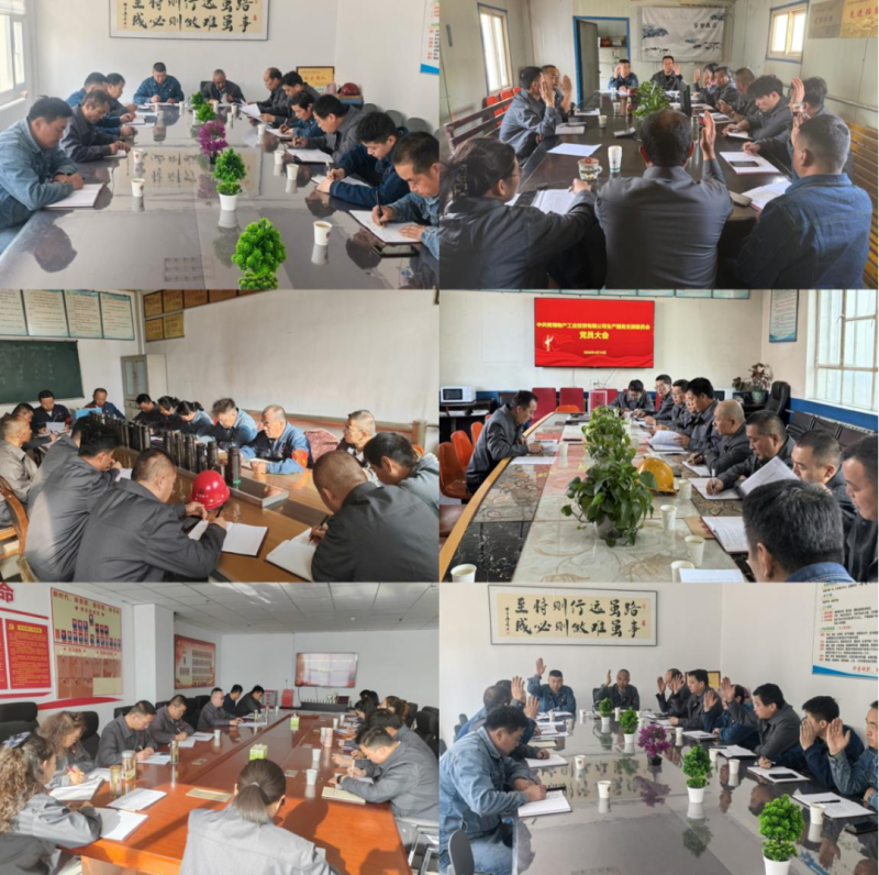 工投公司黨委圓滿完成所屬黨組織優化調整及選舉工作